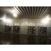 modern design steel structure broiler poultry sheds with low cost automic chicken feeding equipment