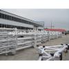 Steel Structure House/Villa/Aircraft Hanger/Warehouse/Workshop #1 small image