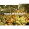Poultry house for floor breeding