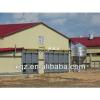 modern design chicken farm steel structure for layers with automatic equipments for sale