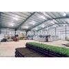 Economic Cabin/Light Steel Structure Workshop/Warehouse/Prefabricated House #1 small image
