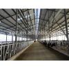 prefab dairy cow shed /houses