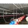 Chicken Shed / Poultry Farm / Chicken House