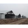 Chicken Poultry House Design and Equipments For Sale