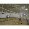 fully automatic prefab chicken farm with equipments #1 small image