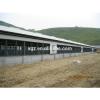 hot selling advanced automatic steel structure poultry farming shed in africa #1 small image