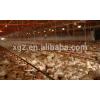 low cost steel structure commercial chicken house for broiler #1 small image