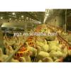 advanced modern automatic egg chicken house design for layers #1 small image