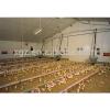 nice design chicken broiler poultry farm structures