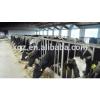 low price advanced automated cattle farm made in china #1 small image