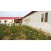 modern automated low price poultry shed farm #1 small image