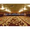 poultry chicken farm building house