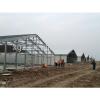 professional design poultry farm shed #1 small image