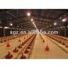steel structure chicken house with full automatic equipment #1 small image