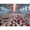 Prefabricated Broiler Poultry House/Farm Poultry Shed #1 small image