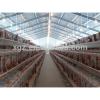 prefab morden automatic commercial chicken house equipment