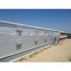modern design chicken shed for poultry farms with automatic equipments