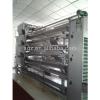 galvanized layer and broiler system poultry equipment