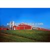 Poultry Farm Layer And Broiler Chicken House