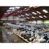 Prefabricated steel building steel structure house cattle shed #1 small image