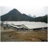 China supplier Steel Structural Egg Chicken Shed Farming Building