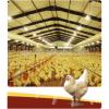 prefabricated steel structure chicken room /poultry house #1 small image