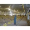 cheap galvanized steel structure poultry house #1 small image