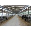 warm keeping prefabricated steel structure stables for cow