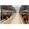 warm keeping prefabricated steel structure cow shed #1 small image