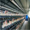 modern manufacture construction chicken house #1 small image
