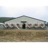 steel structure low cost chicken layer house shed poultry