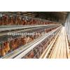 China made commercial chicken house ventilation house