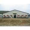 Prefab sandwich panel wall and roofing Steel structure chicken shed #1 small image