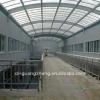 prefab large span steel frame structure warehouse