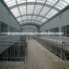 low cost steel structure prefab warehouse in Algeria
