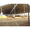 cheap steel structure cow farm house in Bangladesh #1 small image