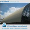 Lightweight steel space frame for power plant coal storage