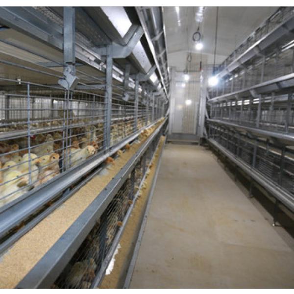 low cost poultry chicken fram steel structure hen building in qingdao #1 image