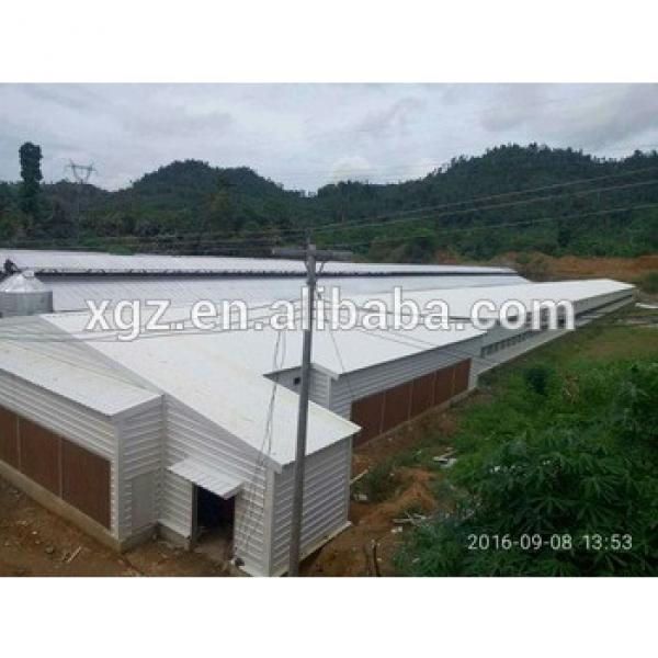 broiler chicks rate 98.5% with advanced poultry farm house design #1 image