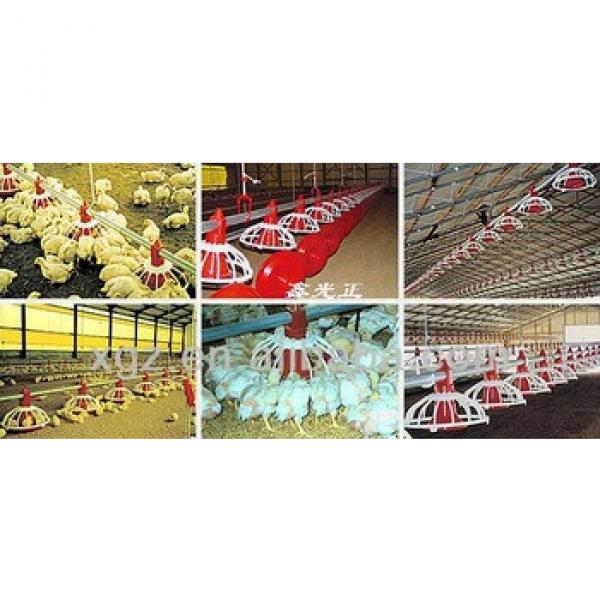 Best Selling Chicken Poultry Farm Equipment #1 image