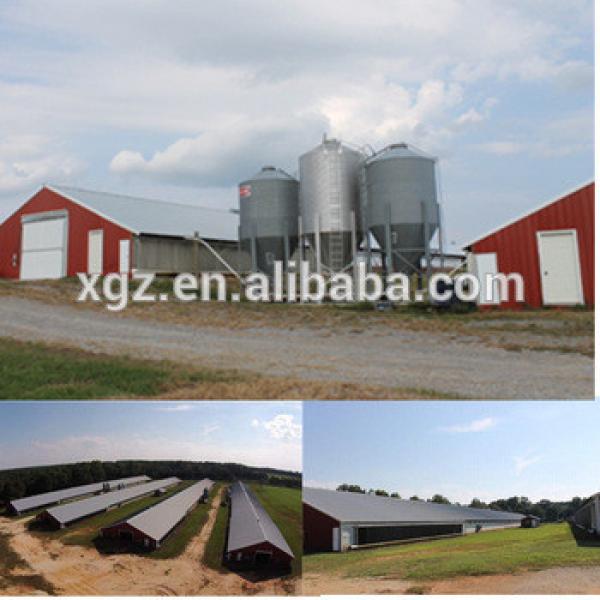 High quality Light Steel Structure Poultry House Design/chicken Poultry House #1 image