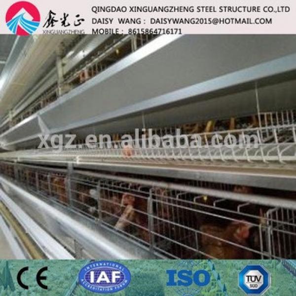 Broiler/ layer chicken rearing equipments and steel poultry house #1 image