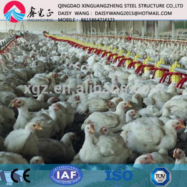 One stop service steel poultry house farm manufacture #1 image