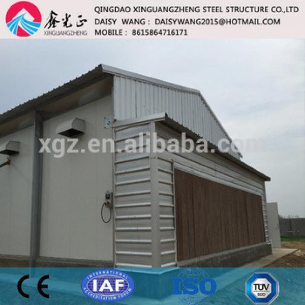 automatic layer chicken cage and poultry house farm #1 image