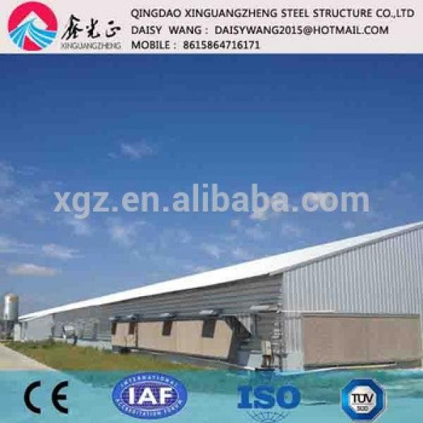 Modern automatic poultry shed and equipment #1 image
