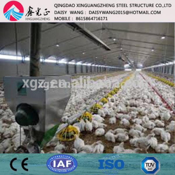 Modern automatic equipment and steel structure poultry house #1 image