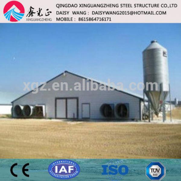Metal poultry shed with new design and equipments #1 image