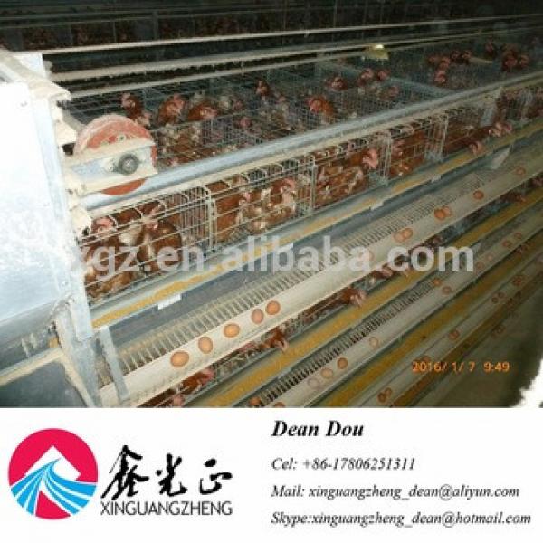 Automatic Equipment Chicken Egg House Galvanized Steel Poultry Farm Drawing Manufacturer #1 image