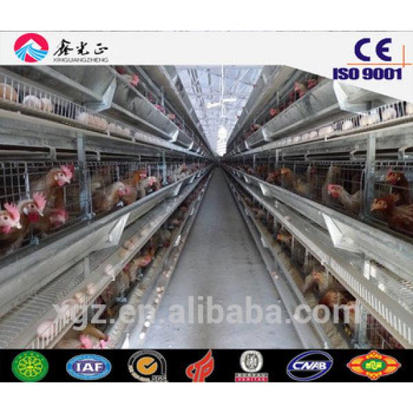 XGZ chicken cage,farm equipments,steel structure chicken house for sale #1 image