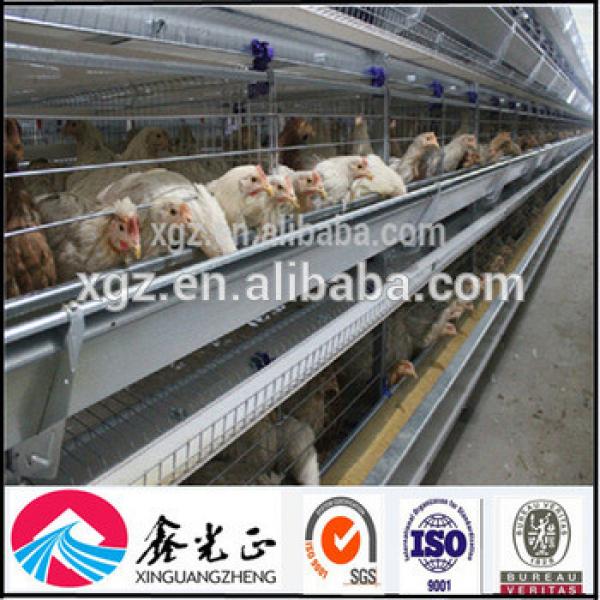 Professional Design Modular Steel Structure Warehouse Used For Chicken Eggs #1 image